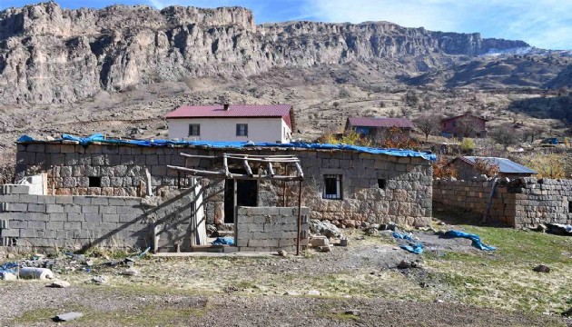 Misafir odasını arılara açtı: Kovanlar kışı evde geçiriyor